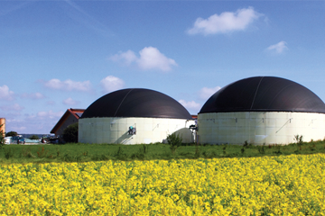 Anaerobic digestion plant shown behind field