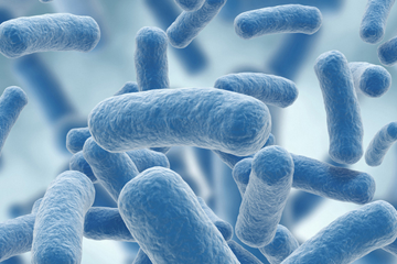 Computer generated image of legionella bacteria