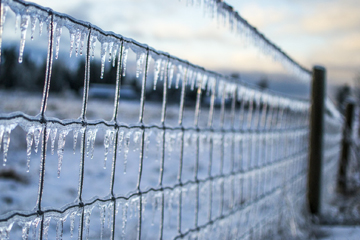 photo of a fence with frost and icicles