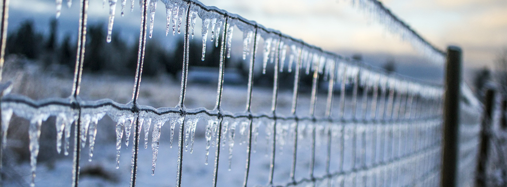 Fence in cold climate shown with icicles