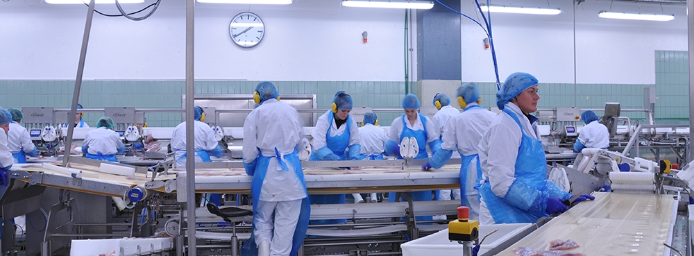 Food packing factory with workers in PPE on a production line